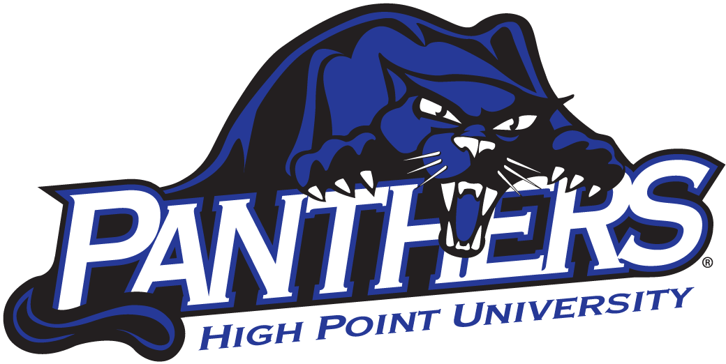 High Point Panthers 2004-Pres Alternate Logo v5 diy fabric transfer